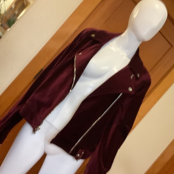 Paige burgundy velvet biker jacket - Picture 5 of 5